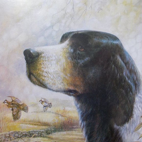 ART RUANE MANNING Hunting Dog Quail Signed Framed VTG - Picture 4 of 7